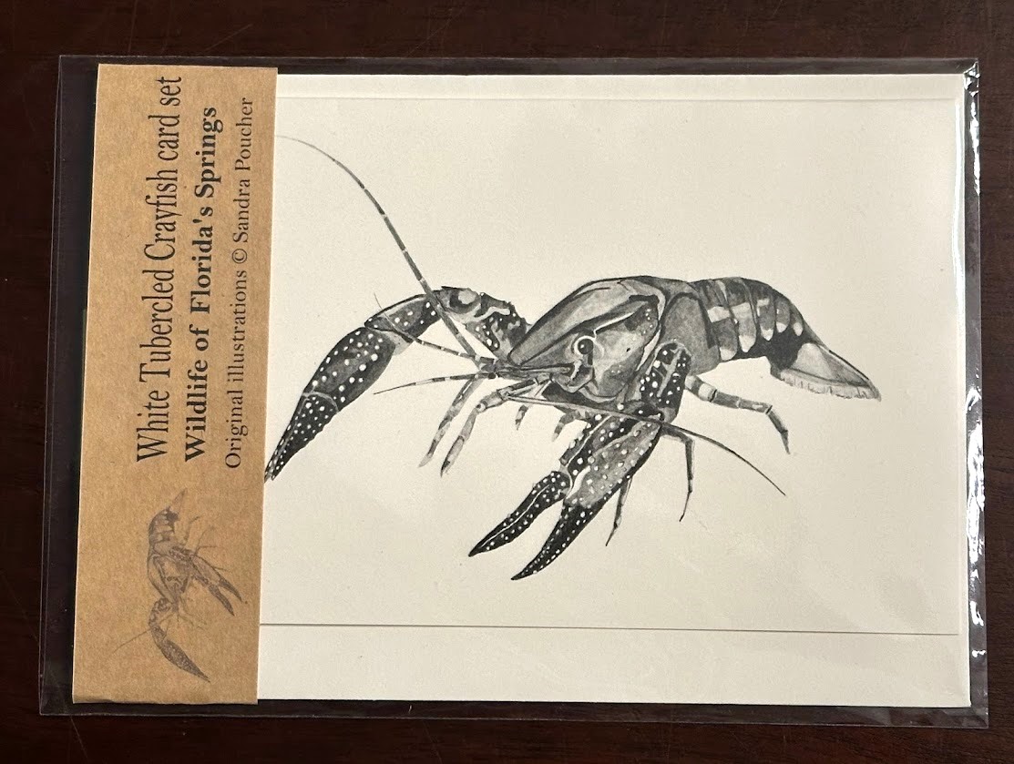 springs crayfish card